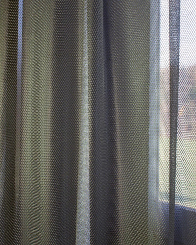 20466alunet.jpg
